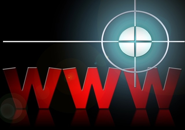 1995-1998 Guerra entre navegadores