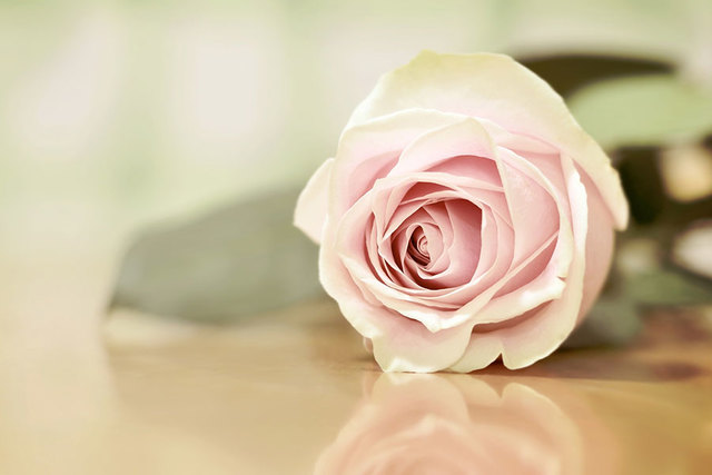 Great Grandparents Got Married!