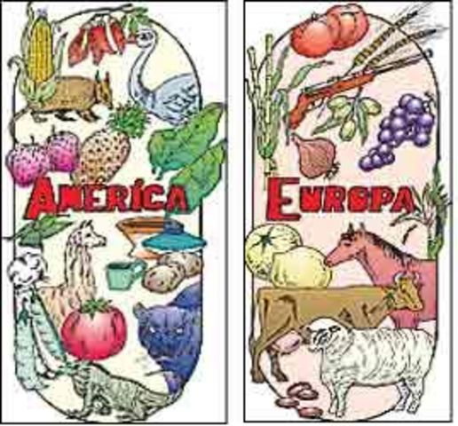 Introduccion de alimentos importantes