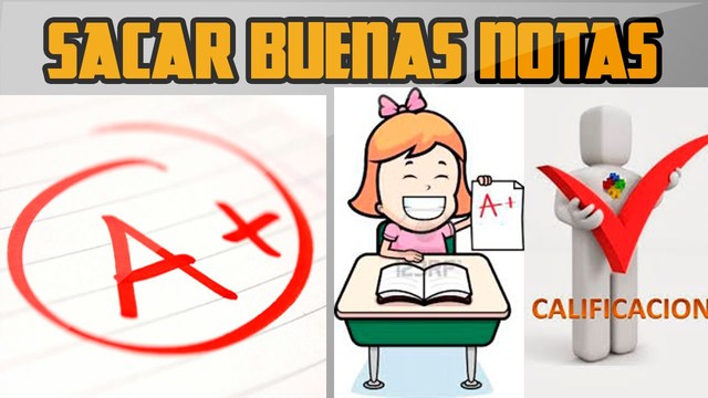 - Comunicar las calificaciones a los estudiantes.