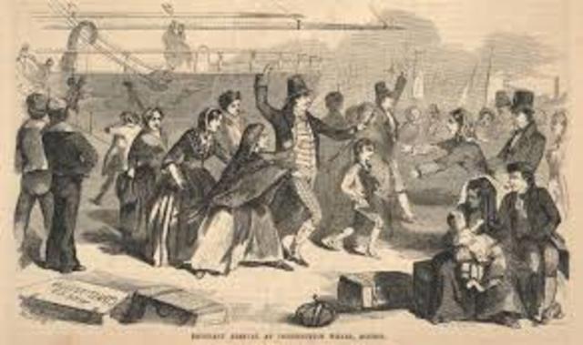 •	Third Wave of Immigration