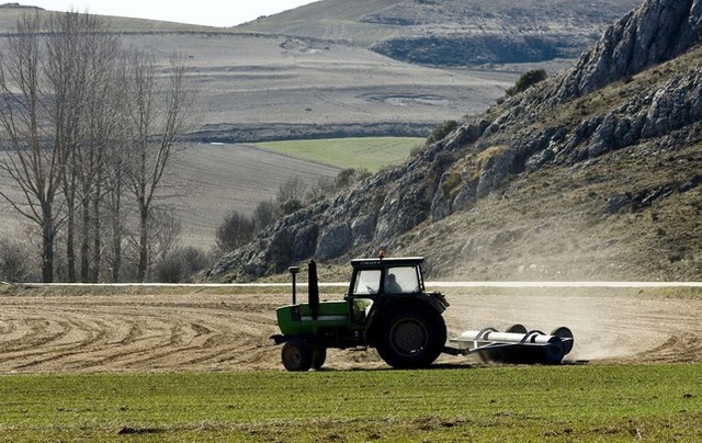 Reforma Constitucional