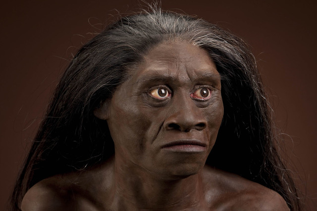 Extinción de Homo floresiensis.