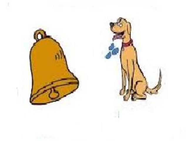 Experimentación con humanos: Acondicionamientos y Reflejos condicionados.