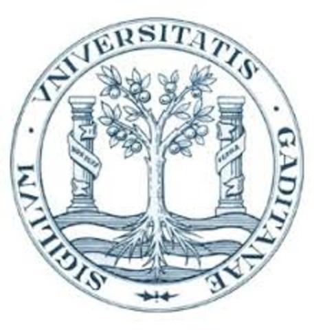 Aparicion de las Universidades Siglo XIII