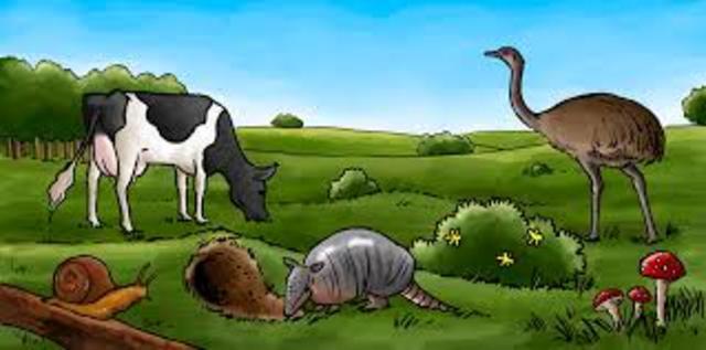 COMPETENCIAS A DESARROLLAR