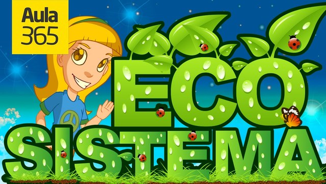 SECUENCIA DE LA CLASE