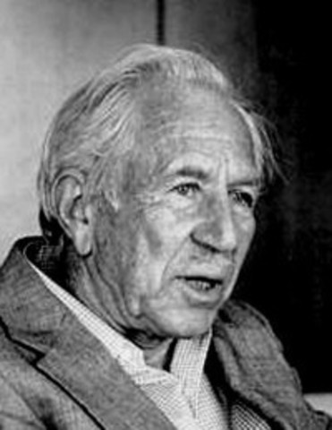 El Enfoque Bioenergetico