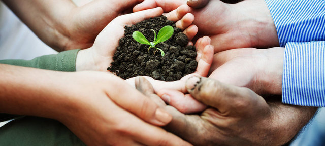 Fenntartható stratégia