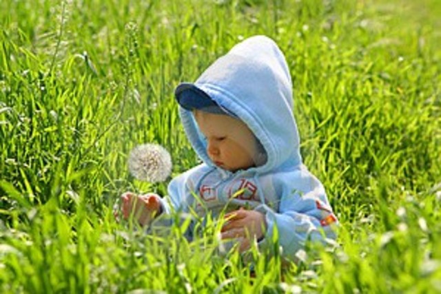 Naturalismo Pedagógico