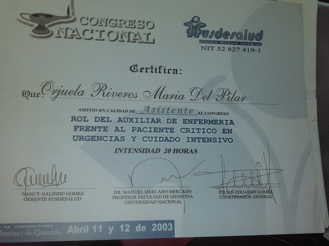 ROL DE ENFERMERÍA DE PACIENTE EN UCI