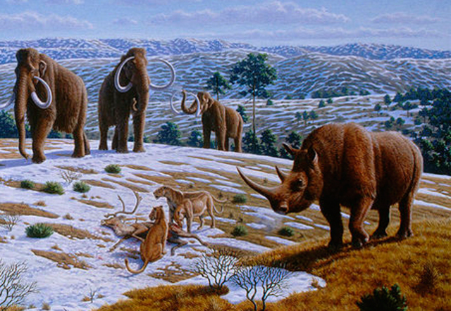 The Quaternary Period 1.8 MYA