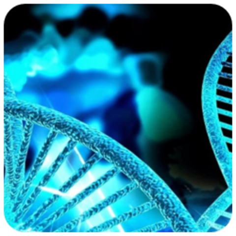 COMIENZAN A APARECER TRABAJOS DE PSICOLOGÍA GENÉTICA