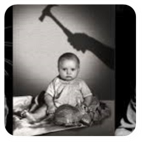 WATSON REALIZA UN EXPERIMENTO TITULADO “EL CASO DEL PEQUEÑO ALBERT”