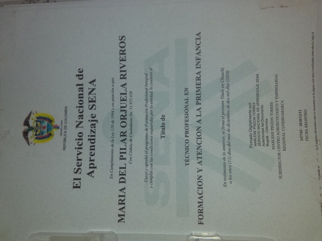 TÉCNICO EN ATENCIÓN A LA PRIMERA INFANCIA