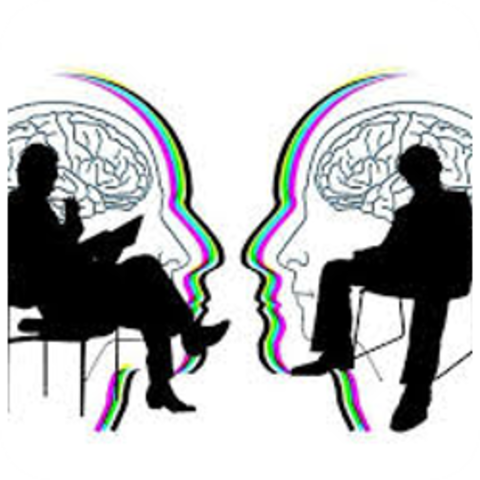 SE PUBLICA EL LIBRO ¿PORQUÉ NO SOY UN PSICOLOGO COGNITIVO?