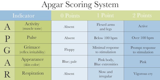 The Apgar Score