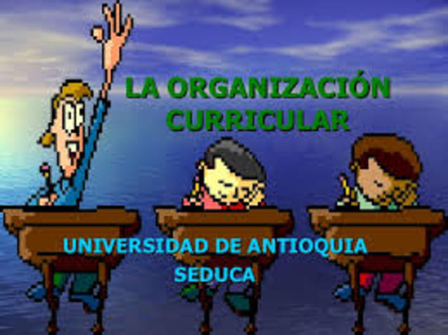 Organización curricular