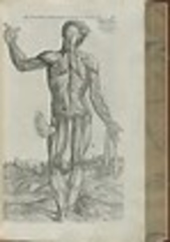 De humani Corporis Fabrica