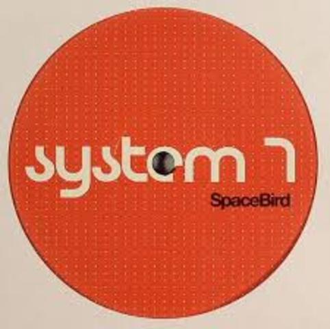 System 7
