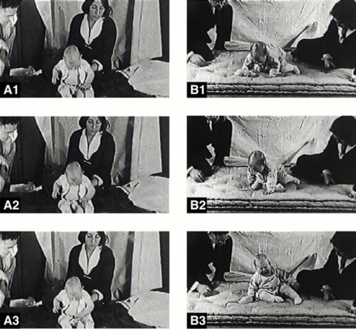 El caso del "pequeño Albert"