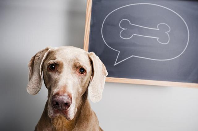 Condicionamiento Cláico