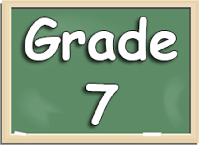 My favourite year, Grade 7