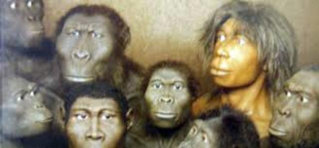 Revolución cognitiva