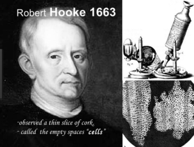 Descubrimiento de la célula