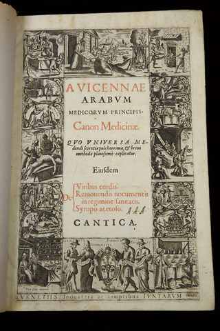 The Cannon of Medicine