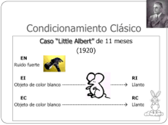 Comienza el Cognitivo Clásico