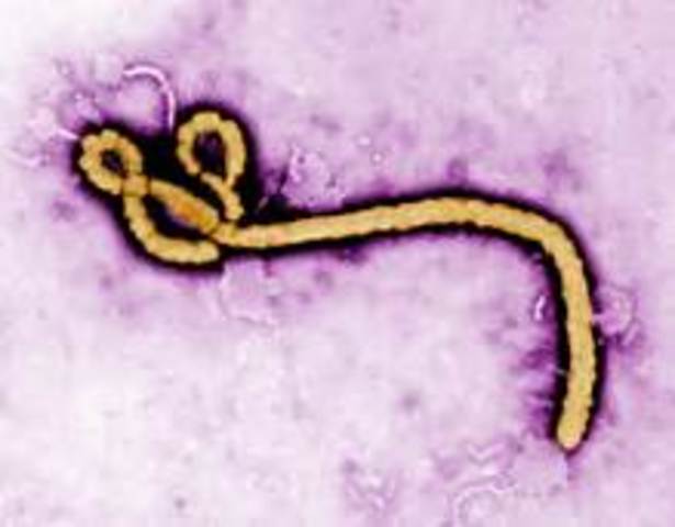Ebola -2013