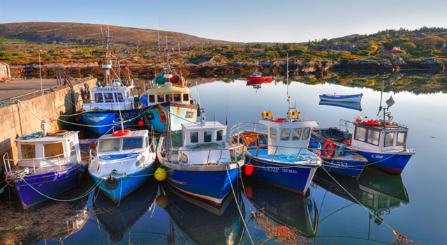 The Europeans fisheries