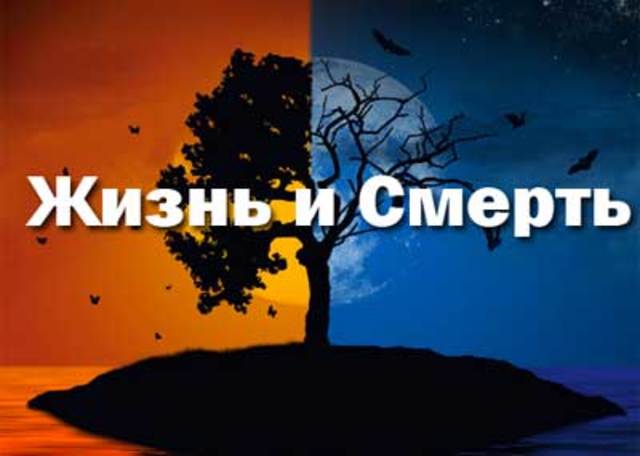 жизнь или смерть канала