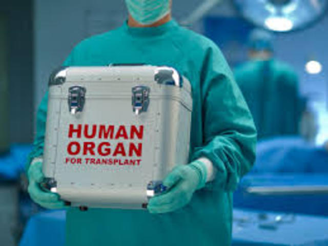 Organ Implants