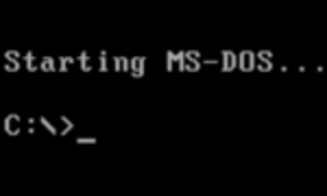 DOS/MS-DOS