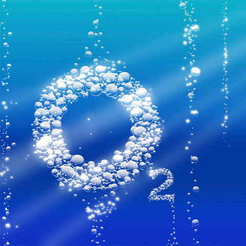 La presenza di ossigeno