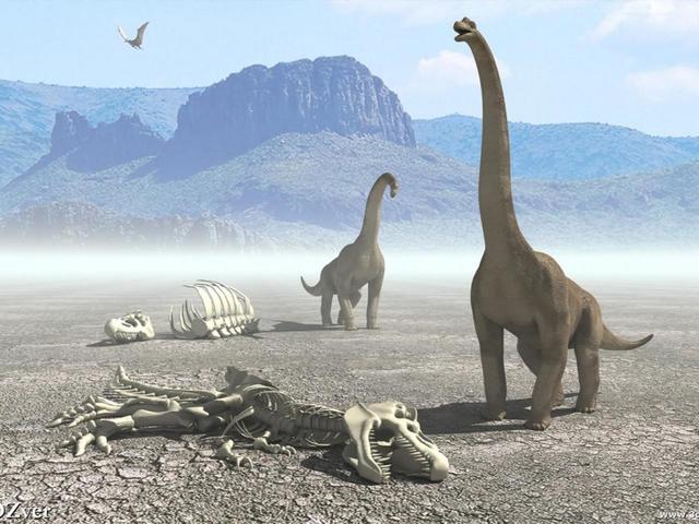 I dinosauri si estinguono