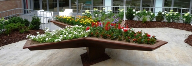 My Mother´s First Work