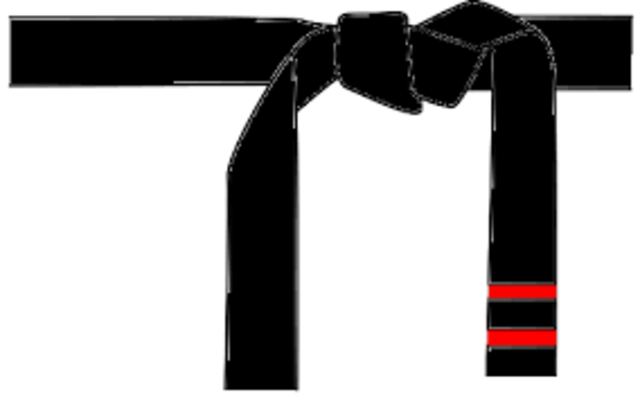 He pass the exam of 2 dan in karate