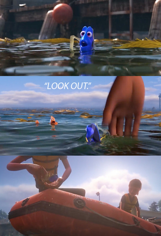 Dory Gets Taken