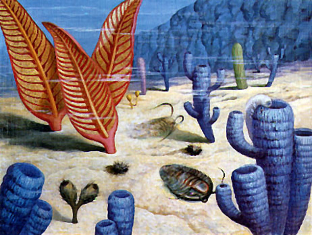 Era Paleozoica; Periodo Cámbrico