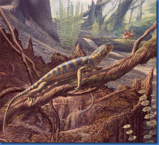 Periodo Carbonífero