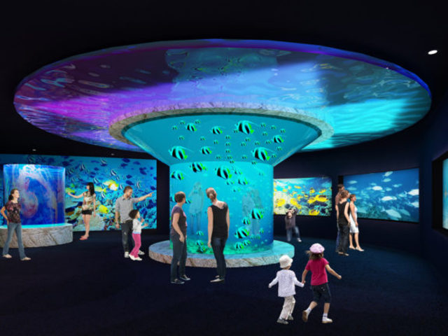 Went to the Aquarium