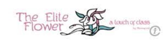 Ingreso a ELITHE FLOWER