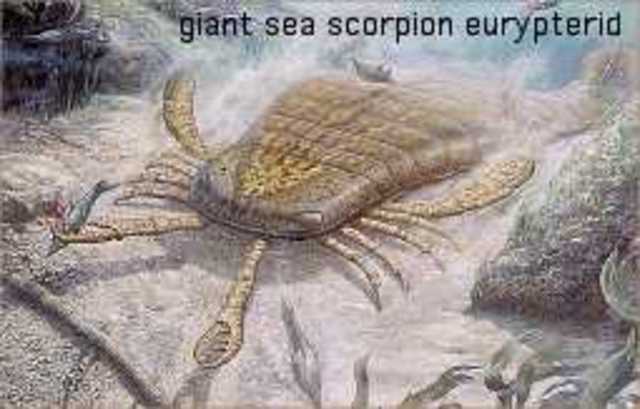 PALAEOZOIC ERA - SILURIAN PERIOD: