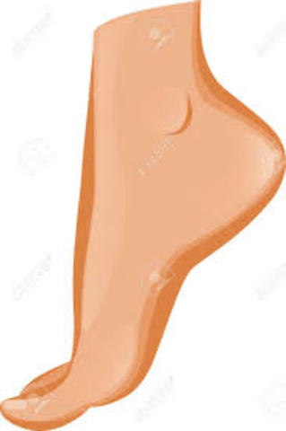 Another Ankle Surgery