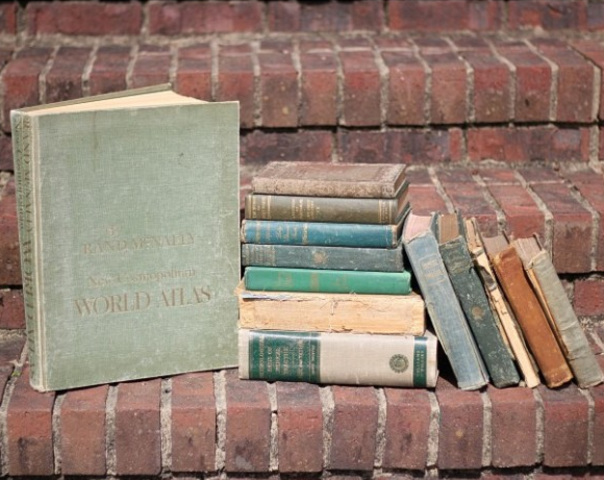 Cause and Effect of Abigals education