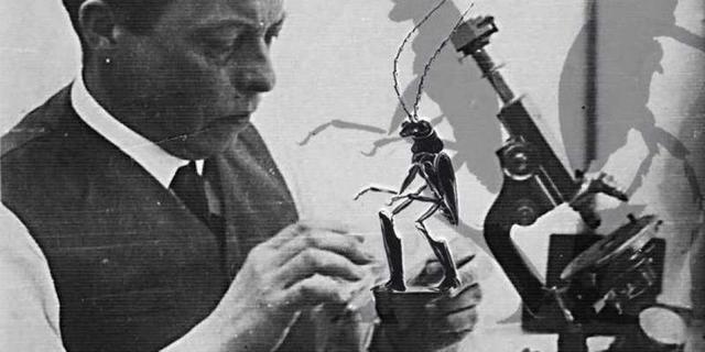 Marioneta-teknika (Vladislav Starevich)