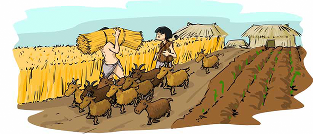 SOCIEDAD AGRÍCOLA Y GANADERA